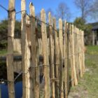 Hekwerk Kastanjehout | 5 meter op rol