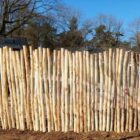 Robinia schutting