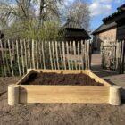 Moestuinbak - Kweekbak - Robinia Hout