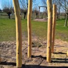 Robinia touwenparcours - EN 1176 gekeurd voor openbaar gebruik